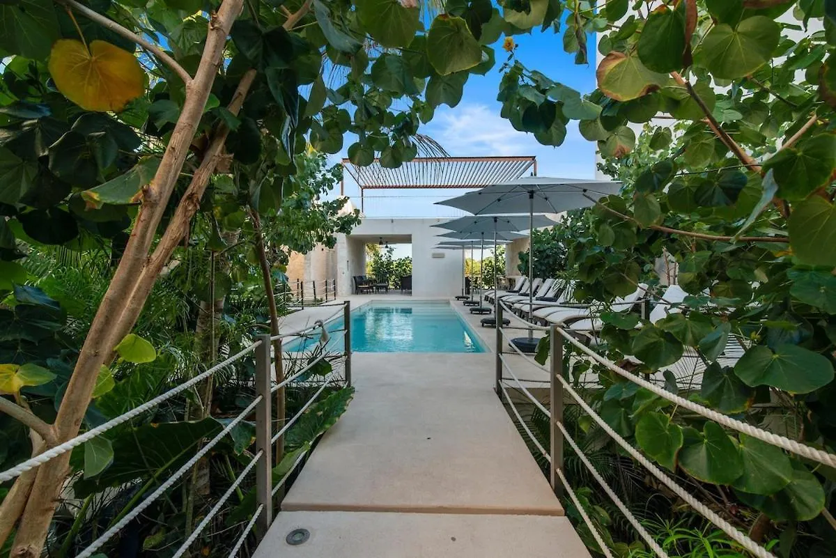 דירה Akumal Escape Beach Access 7 Pools With Ocean View Beach Club מקסיקו